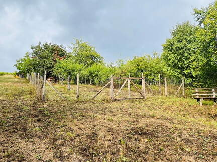 22-09-10 17-14-43 1955